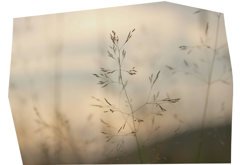 Anthroposophie Wissenschaft