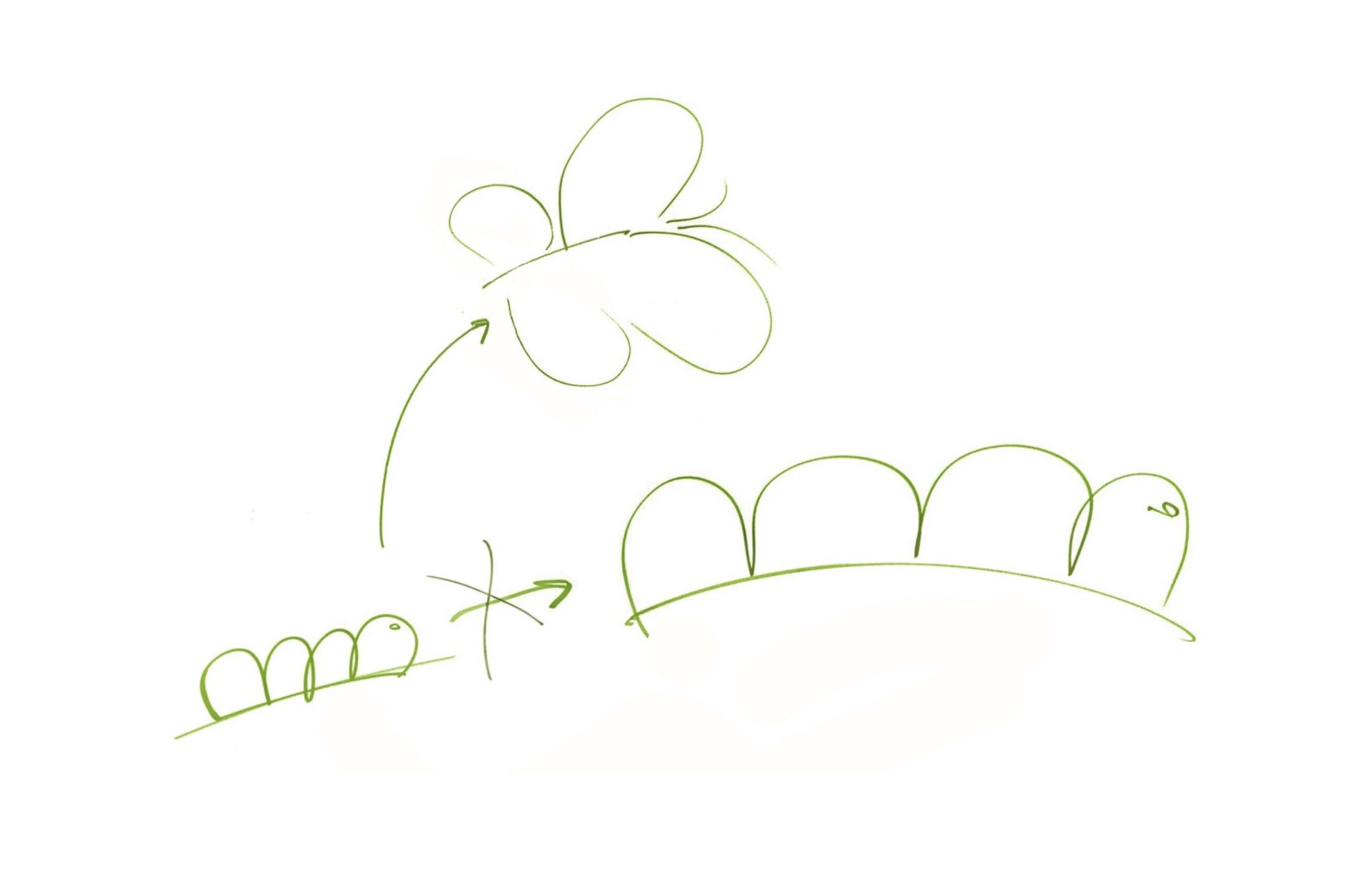 Illustration eines Entwicklungsprozesses: Von der Raupe zum Schmetterling, symbolisch für die Transformation durch Organisationsentwicklung hin zu einer nachhaltigen und menschlicheren Wirtschaft.