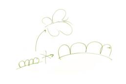 Illustration eines Entwicklungsprozesses: Von der Raupe zum Schmetterling, symbolisch für die Transformation durch Organisationsentwicklung hin zu einer nachhaltigen und menschlicheren Wirtschaft.