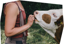 Demeter Landwirtschaft