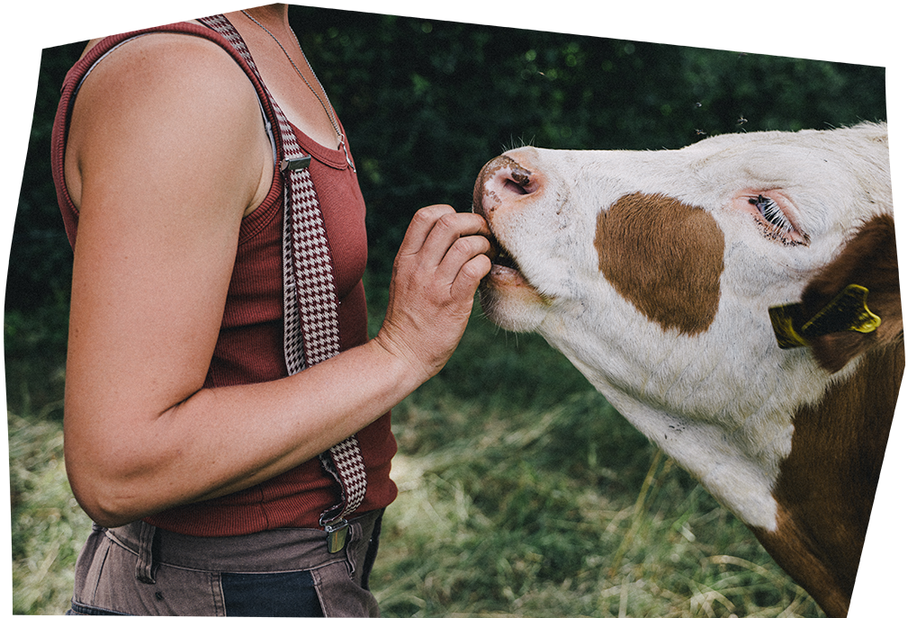 Demeter Landwirtschaft