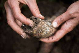 Hände halten ein mit Erde gefülltes biodynamisches Präparat, symbolisch für die Demeter Landwirtschaft und die nachhaltige Stärkung von Boden und Pflanzen.