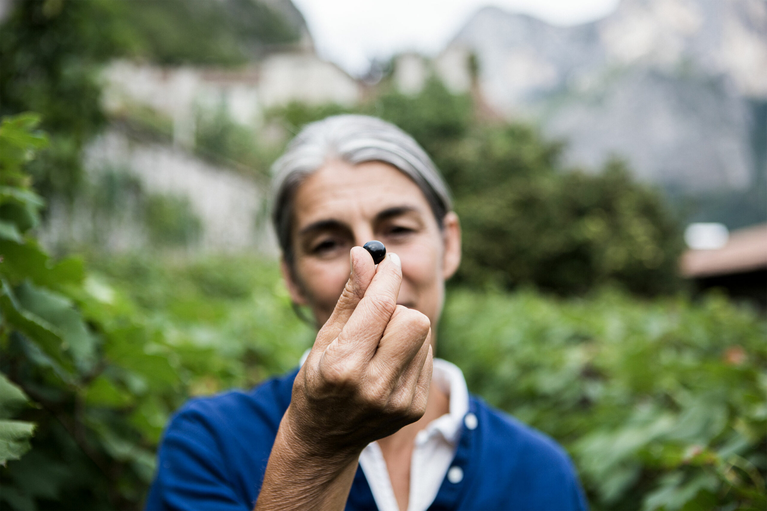 Eine Frau hält eine frisch geerntete Frucht inmitten von Weinreben, symbolisch für nachhaltige Demeter-Landwirtschaft und die Verbindung von Anthroposophie mit hochwertigen Lebensmitteln.