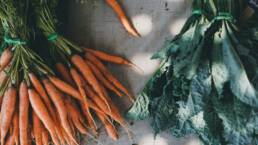 Frische Bio-Karotten und Grünkohl – Symbol für die steigende Nachfrage nach Bio-Lebensmitteln in Bayern.