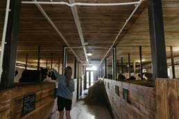 Schülerin im Kuhstall des Hof Loheland – nachhaltige Landwirtschaft als Teil des Schulalltags.