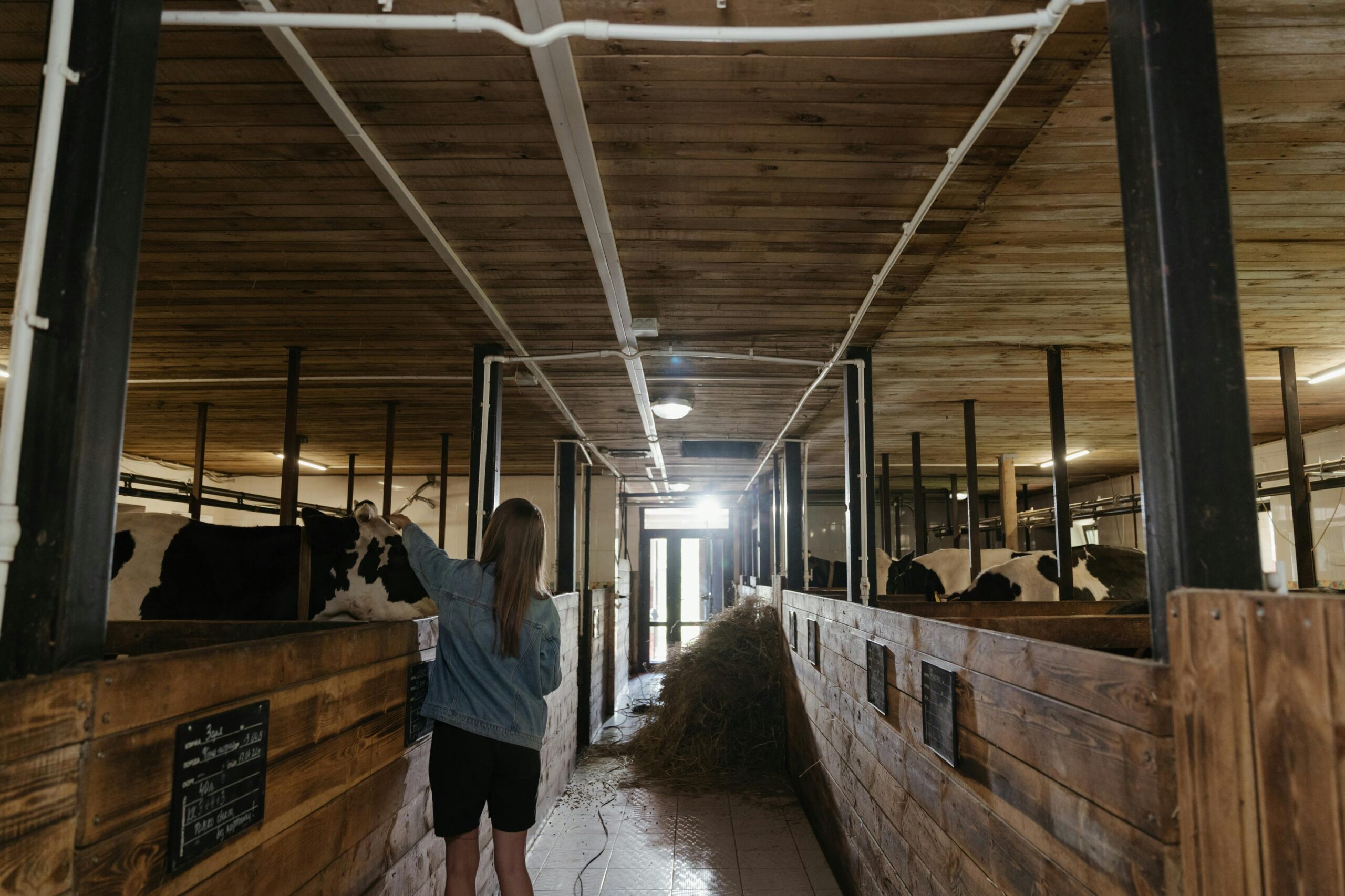 Schülerin im Kuhstall des Hof Loheland – nachhaltige Landwirtschaft als Teil des Schulalltags.